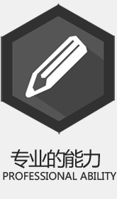 专业能力 专业能力